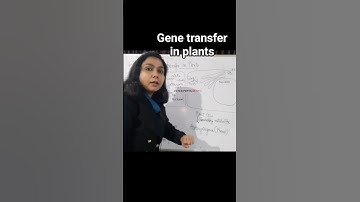 Qualify ICMR | CSIR-NET | DBT-JRF | GATE | AIIMS | IIT JAM | GAT-B | Other Ph.D. exams