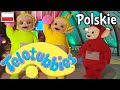 Teletubisie Po Polsku - 71 DOBRA JAKOŚĆ (Pełny odcinek)