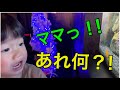 【ビックリ】2歳児の男子が発狂しまくり!?【金魚ミュージアム】
