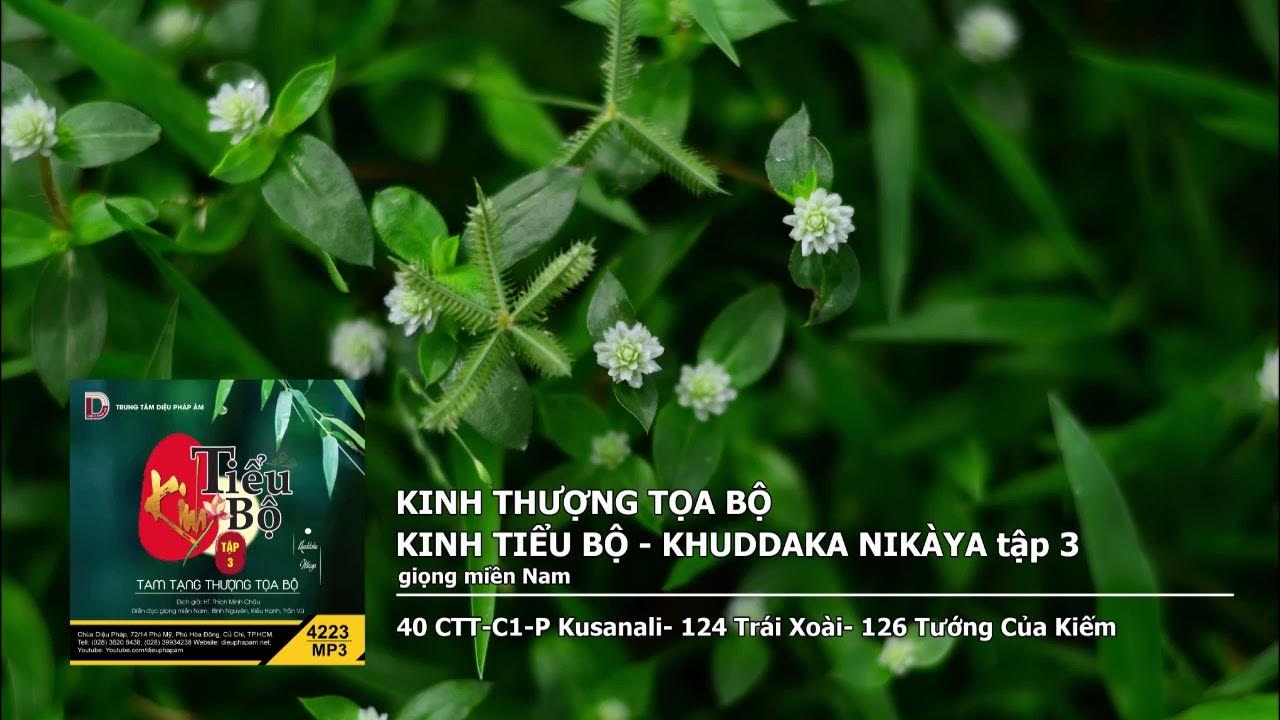 Tập 3 – 40 CTT–C1–P Kusanali– 124 Trái Xoài– 126 Tướng Của Kiếm giọng miền Nam 