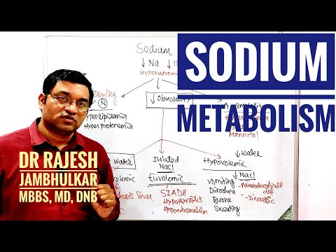3. Sodium metabolism