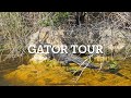 Gator Tour