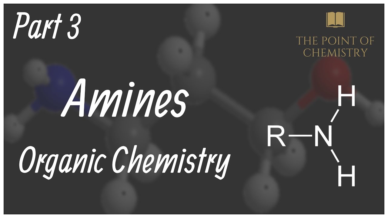 Amines | Part 3 | Organic Chemistry | Class 12 | BSP Sir | The Point Of Chemistry