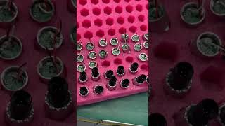 How  General Type Pressure Transmitter are manufactured and produced?#lefoo #pressure Transmitter