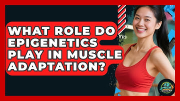 What Role Do Epigenetics Play In Muscle Adaptation? - High Energy Training Hub