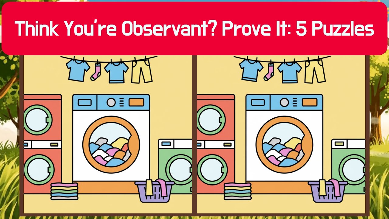 🦉 Think You’re Observant? Prove It: 5 Puzzles | Detective Owl 🦉