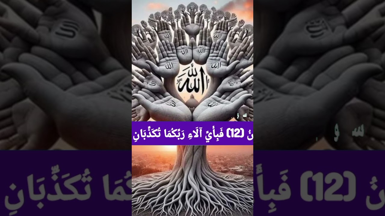 @Salami video 🕋2,77k