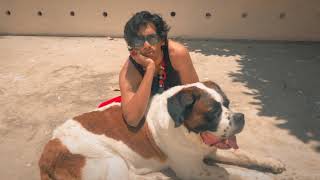 Watermelon Sugar Cover Video  -  Andre Mathews ft. Sugar (my St.Bernard)