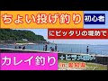 ちょい投げ釣り初心者にピッタリの堤防からカレイ、キス釣り・ルアーでヒラメも狙ってみた／冨具崎港in愛知県