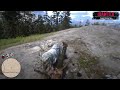 Wolf Attack in Red Dead Redemption 2 🐺💀