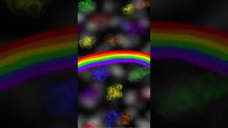 Another rainbow wallpaper 🌈 #digitalart #queer #rainbow