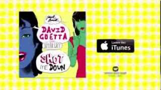 Download Lagu David Guetta feat. Skylar Grey - Shot Me Down (Spot) MP3