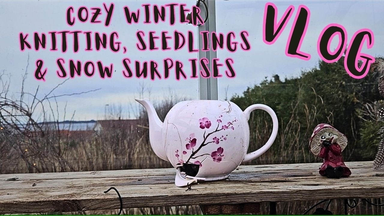Уютный зимний день: вязание, рассада и снежные сюрпризы.