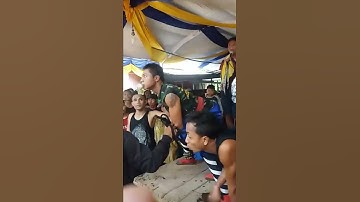 Macan Suprat Galak Beran Lor MB