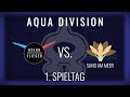 HoennFlieger vs. Sand am Meer, 1. Spieltag Aqua Division | NERDKRAM POKEMON LEAGUE