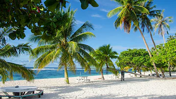 Tropical Caribbean Beach Bossa Nova Music with Ocean Waves for Relaxation, Good Mood