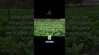 Folistar, Bioestimulante Y Antiestresante Para Todo Tipo De Plantas