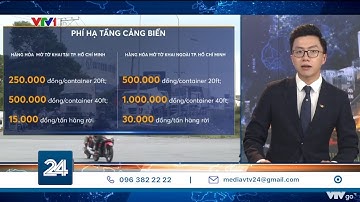 Doanh nghiệp kiến nghị TP. Hồ Chí Minh tạm dừng thu phí hạ tầng cảng biển| VTV24
