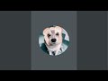 Kaya the Klee is live!