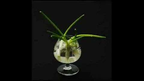 Milt Buckner - Green Onions