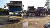 デコトラ プロフィアダンプ３連発 華龍会 琉国 南国ぴんく鳥 Youtube