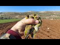 فيديو رائع لأطلاق سراح العصافير في الطبيعة