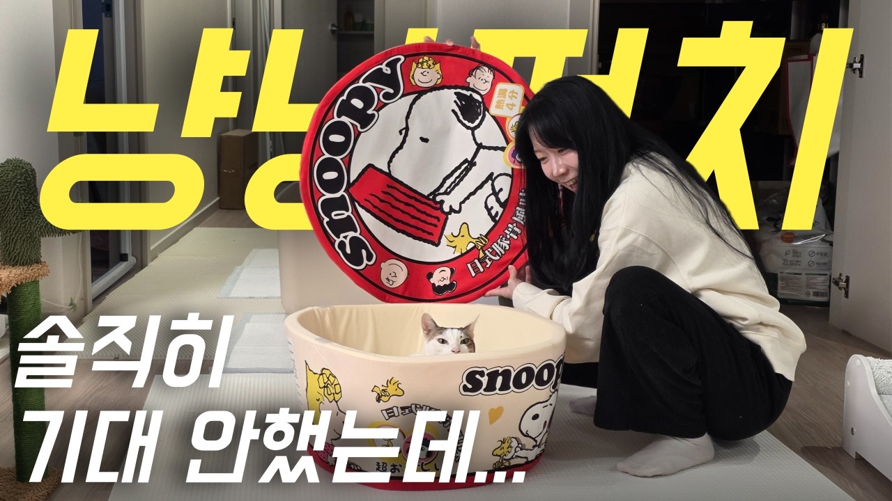 소규모 박람회라 별로일 줄 알았는데, 의외로 득템한 냥냥펀치 캣쇼 후기📦