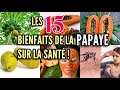 Les 15 bienfaits de la papaye pour votre sant