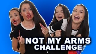 NOT MY ARMS CHALLENGE - Merrell Twins