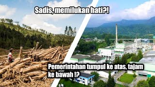 Pt Toba Pulp Lestari Dan Pelanggaran Hukumham Yang Dilakukannya