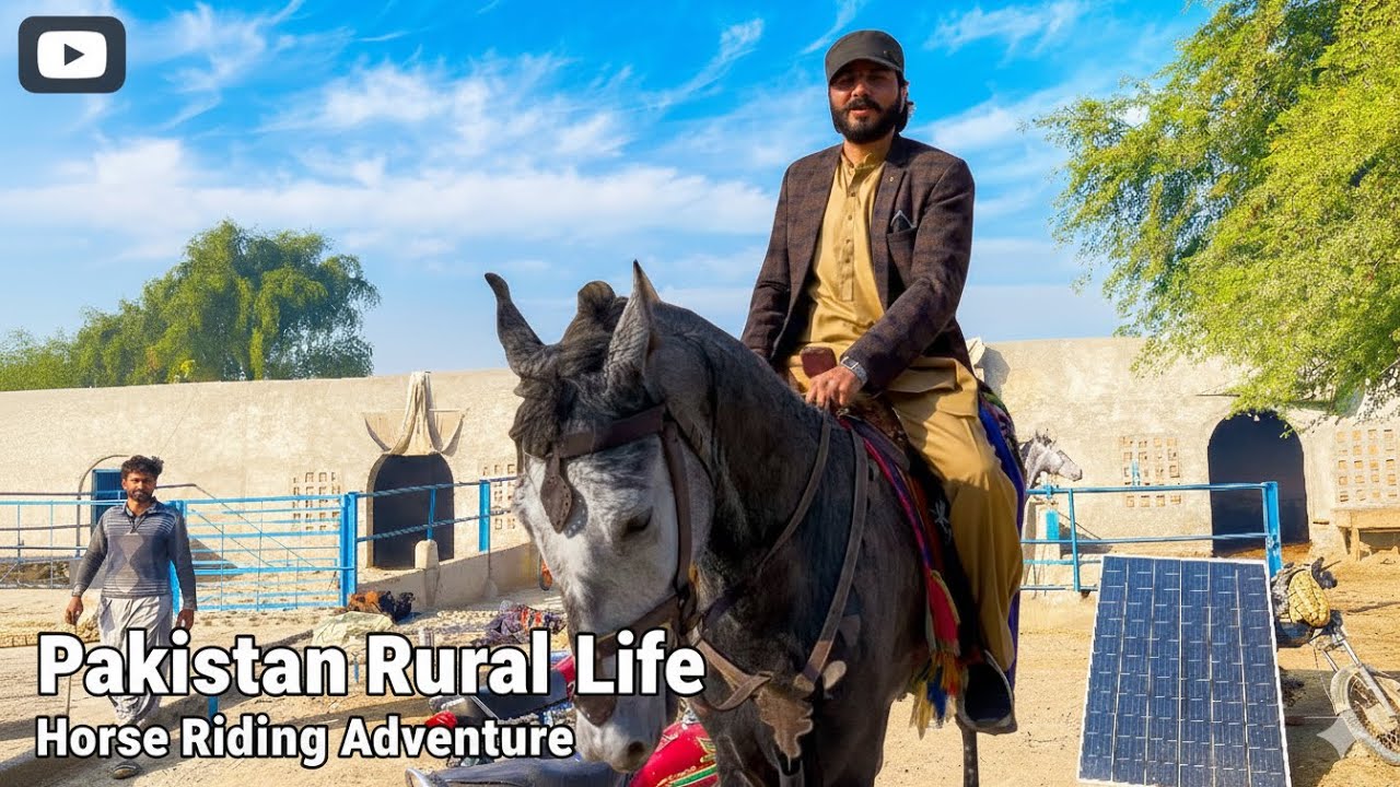 My Horse Riding Experience 🐎🐎| Village Life Vlogs 🚜