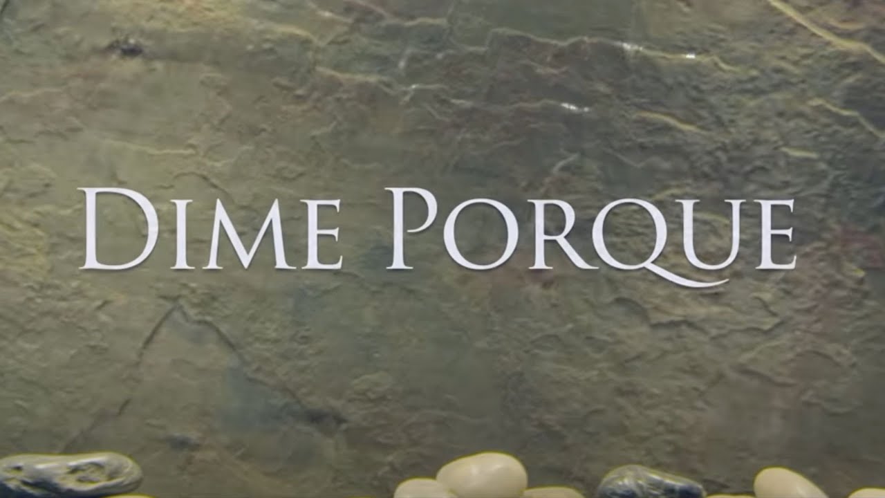 Bachata Heightz - Dime Porque (Official Music Video)