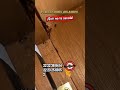 #reels #domicilio #controldeplagas #fumigacion #plagas #servicios #shorts #cocina #cucarachas #viral