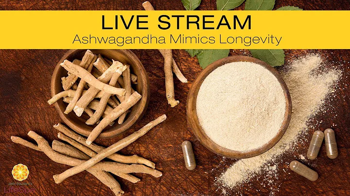 Ashwagandha Mimics Longevity | John Douillard's LifeSpa