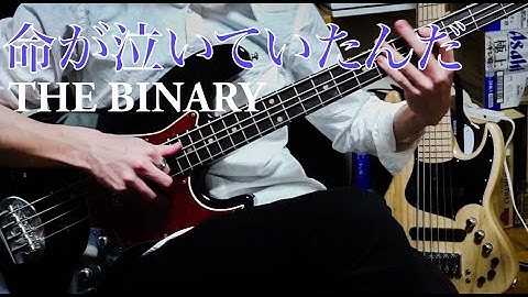 命が泣いていたんだ / THE BINARY |Bass Cover