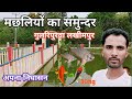 गुलरीपुरवा निघासन लखीमपुर खीरी का अनोखा मंदिर||मछली का तालाब || 30Kg की मछली
