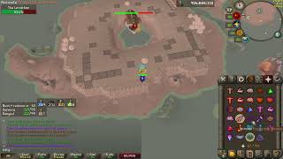 Awakened Leviathan Second KC with Pet