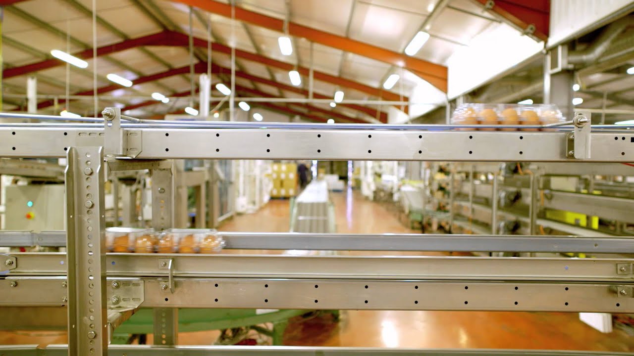 The story of Oakland Farm Eggs between the lines YouTube