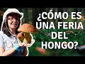 Así es una FERIA del HONGO 🍄 en MÉXICO