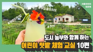 도시농부와 함께 하는 어린이 텃밭 체험 교실 10편 ㅣ 수확한 허브로 무알콜 모히또 만들기썸네일