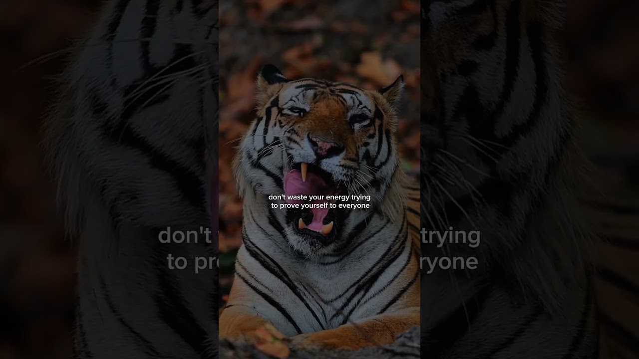 "The Secret of Tiger Power – Motivation to Dare to Pursue Your Dreams" 