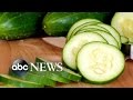 Salmonella Outbreak Due to Cucumber Contamination