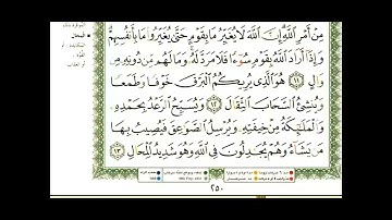 سورة الرعد من ايه ٨ إلى ١٣ للقارئ عبدالرحمن العوسي 🌱