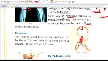 science 5th class| chapter 3 |skeleton and muscular system | part 3 |