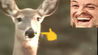 Forsen reacts to {YTP} ~ Deeer