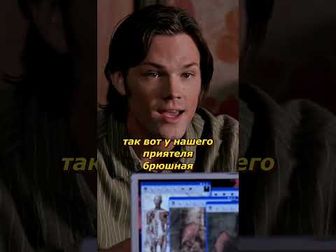 😅Отменный аппетит🍔#сверхъестественное #моменты #shortsvideo #сериал #фильм #jensenackles #кино