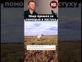 Овца пришла за помощью к пастуху