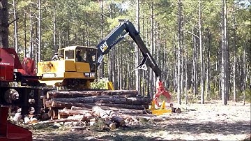 New Cat Log loader Limbing and Cutting Logs