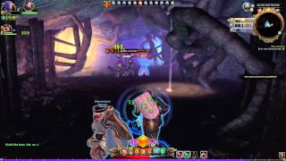 Neverwinter - Control Wizard level 41.