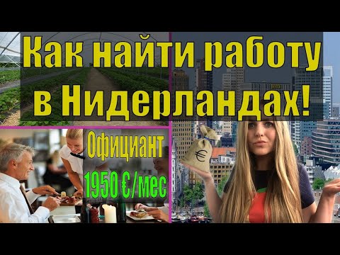 КАК УСТРОИТСЯ НА РАБОТУ В НИДЕРЛАНДАХ И КАКИЕ ЗАРПЛАТЫ/ РАБОТА БЕЗ ЗНАНИЯ ЯЗЫКА